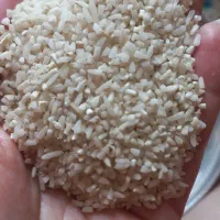 برنج هاشمی سس همه طمع رب اناروالوجه|عمدهفروشی|الوند, |دیوار