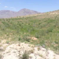 باغ و زمین با آب