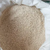 برنج کشت دوم سرلاشه کشت دوم