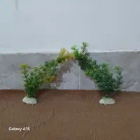 دکور آکواریوم|ماهی|خوی, |دیوار