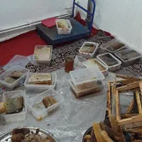 عسل درمانی