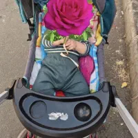 کالسکه سالم فقط یک میلیون