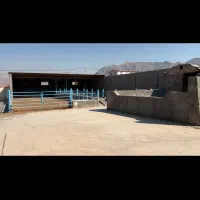 دامداری-1200متری-کامل-و-مجهز