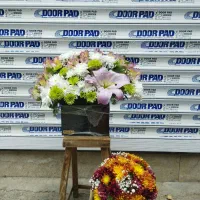 موجودی های امروزمون