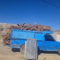 خرید وهرس چوب باغی|خدمات باغبانی و درختکاری|بیرجند, |دیوار