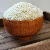 برنج طارم هاشمی فریدون کنار کشاورزی خودم
