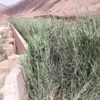 فروش سیم کارت 9199- 56-09199