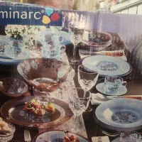 سرویس ارکوپال فرانسه قدیمی نو