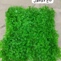 شهر چمن|مصالح و تجهیزات ساختمان|کرمان, |دیوار