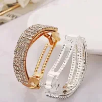 گیره موی شیک مجلسی، مناسب انواع مو|زیورآلات و اکسسوری|تایباد, |دیوار