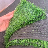 چمن مصنوعی نو