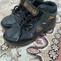 کفش اسپرت|کیف، کفش، کمربند|آبکوه, |دیوار