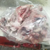 اسکلت مرغ
