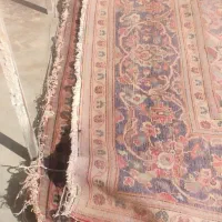 فرش قدیمی|فرش|یزد, |دیوار