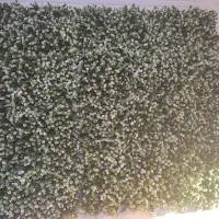 گرین وال ۱۲تیکه