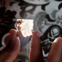 سنگ شجر پاییزه