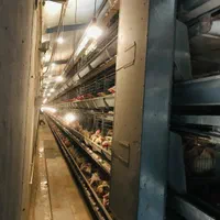 برقکار صنعتی/مونتاژ تابلو،آسیاب،میکسر،ژنراتور|خدمات پیشه و مهارت|بیرجند, |دیوار