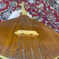 سه تار پالیزدار