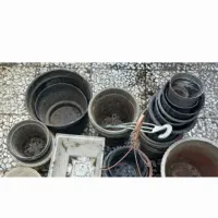 فروش تعدادی گلدان