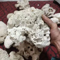 مرجان|بدلیجات|تهران, افسریه شمالی|دیوار