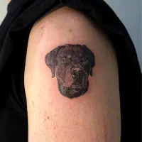 آموزش تتو با کمترین هزینه