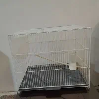 قفس40*50،لونه مکانیزه عروس هلندی