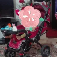 سرویس کالسکه .روروئک .کریر