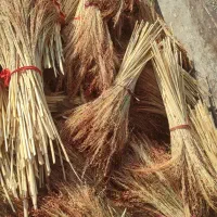 جارو|لوازم نظافت|زاغه, |دیوار