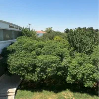 میزبان مجالس ترحیم نامزدی سالگرد و همایش سمینار|خدمات پذیرایی، مراسم|مشهد, کوی پلیس|دیوار