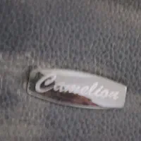 کفپوش یا کف پایی سانتافه خارجی در حد نو|قطعات یدکی و لوازم جانبی|تهران, پاسداران|دیوار