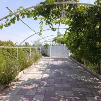 اجاره ( روزانه) ویلا باغ ۸۰ متری