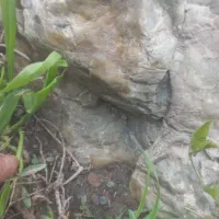 سنگ|کلکسیون و سرگرمی|مشهد, باغون آباد|دیوار