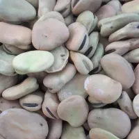 باقلا فروشی