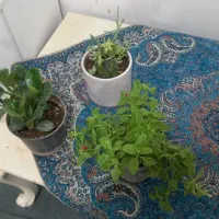 گل وگیا|گل و گیاه طبیعی|دزفول, |دیوار