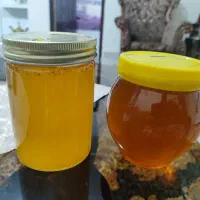 عسل خالص