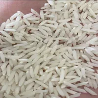 برنج هاشمی درجه یک