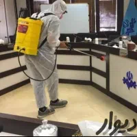 سمپاشی تخصصی سم پاشی سوسک ساس موریانه/با ضمانت|خدمات نظافت|اهواز, گلستان|دیوار