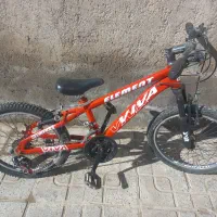 دوچرخه ۲۰‌دنده‌ای‌حرفه‌ای