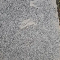 اجاره خانه ویلایی