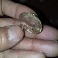 نو سنگ قدیمی|کلکسیون اشیاء عتیقه|تهران, تهران‌ویلا|دیوار