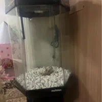 آکواریوم استوانه ای ماهیران