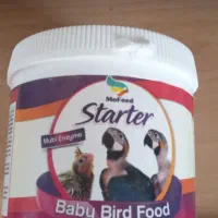 یک عدد سرلاک کوچک طوطی سانان