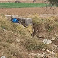 زمین کشاورزی با سهمیه آب موتور|فروش زمین و ملک کلنگی|زاویه, |دیوار