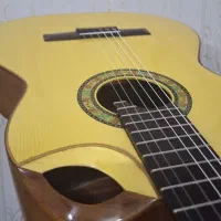 گیتار دستساز s.tniaهاف کات  حرفه ای
