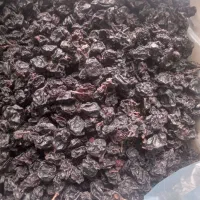 کشمش ، مویز انگور سیاه سردشت|خوردنی و آشامیدنی|سردشت, |دیوار