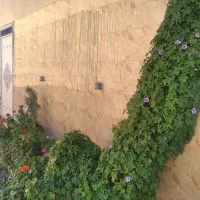 منزل مسکونی|فروش خانه و ویلا|شیراز, کفترک|دیوار