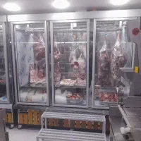 به قصاب و مرغ کار ماهر نیازمندیم