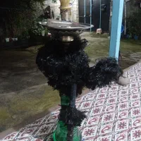 سالم جا افتاده