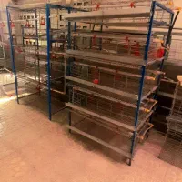 فروش فوری قفس مرغ،جوجه،بلدرچین،کبک