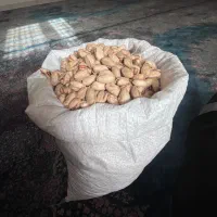 پسته لوکس و درشت دست چین|خوردنی و آشامیدنی|ری, هاشم‌آباد|دیوار